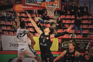 54206436198_550b79c3e8_b