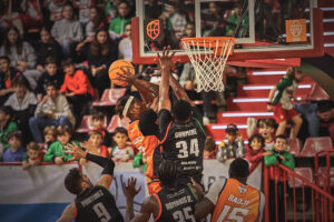 54145523446_de92065e97_b