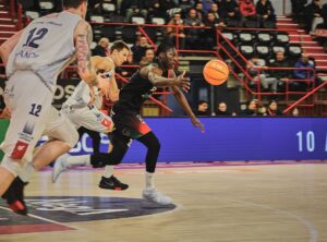 54313268543_bc19e94acd_b