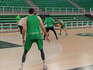 WhatsApp Image 2025-02-14 at 19.22.46