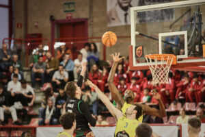 54479189903_8e137756b8_k