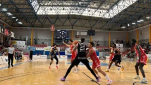 fibwi.-palma-2025-1-e1743964843777