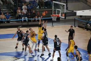 alimerka-oviedo-pabellon (11)