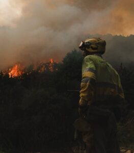 photo_5933782771996674007_y