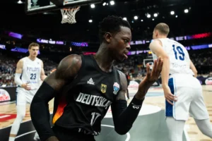 s8tuykwzbimxvx6mlqjd