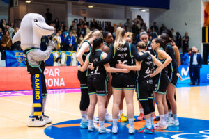 54946408798_c29642fa53_o