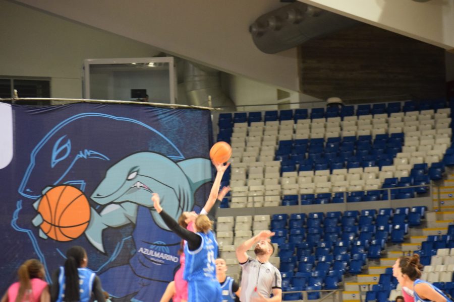 Azul-Marino-Mallorca-Palma-–-Fustecma-NFB-Castello-5-scaled-e1768079546417