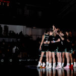 55076613463_831abae1e5_o