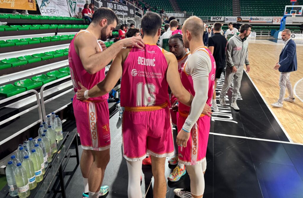 WhatsApp Image 2026-02-06 at 19.14.14