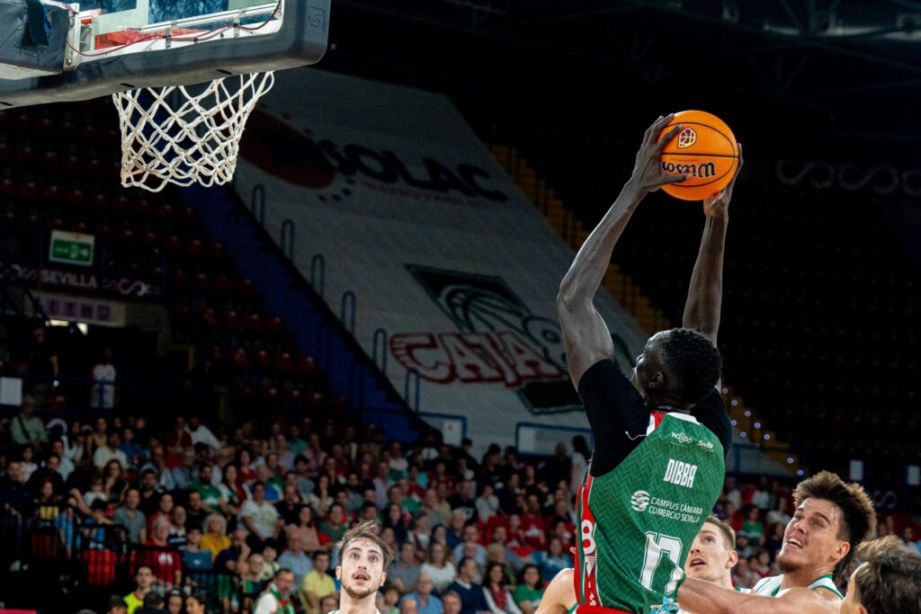 WhatsApp Image 2026-02-13 at 20.11.05