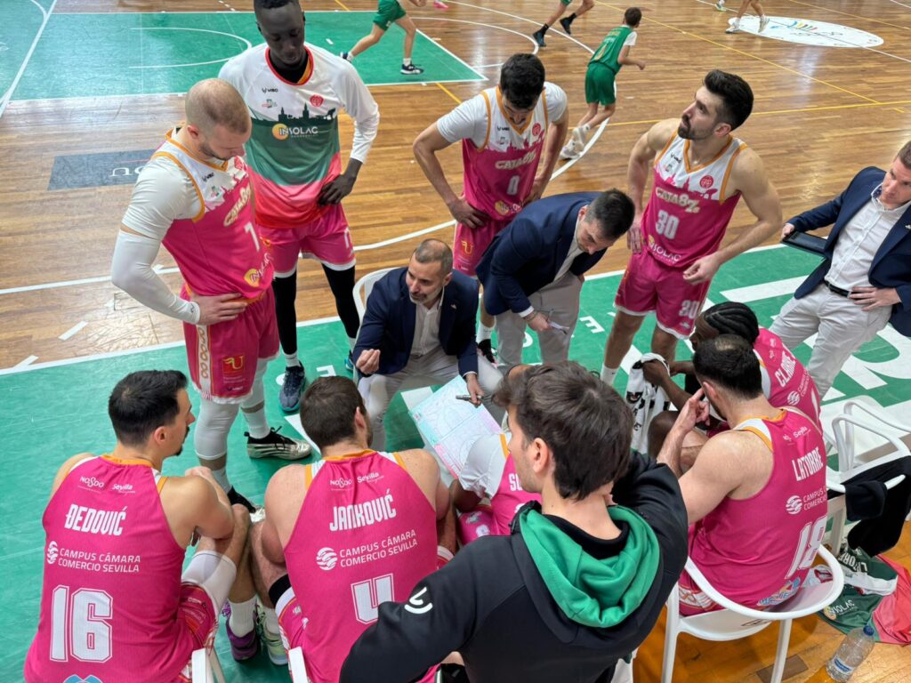 WhatsApp Image 2026-02-15 at 15.35.57