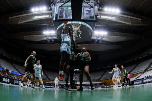 Entre el olvido y la necesidad